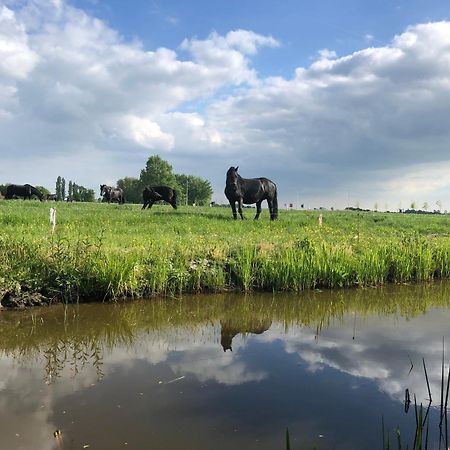 Vakantiehuis In Friesland Voor De Hele Familie Huns Exteriör bild