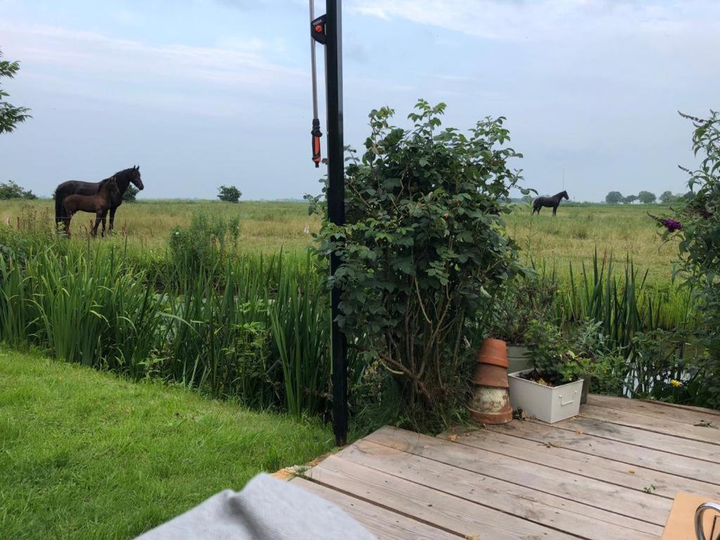 Vakantiehuis In Friesland Voor De Hele Familie Huns Exteriör bild