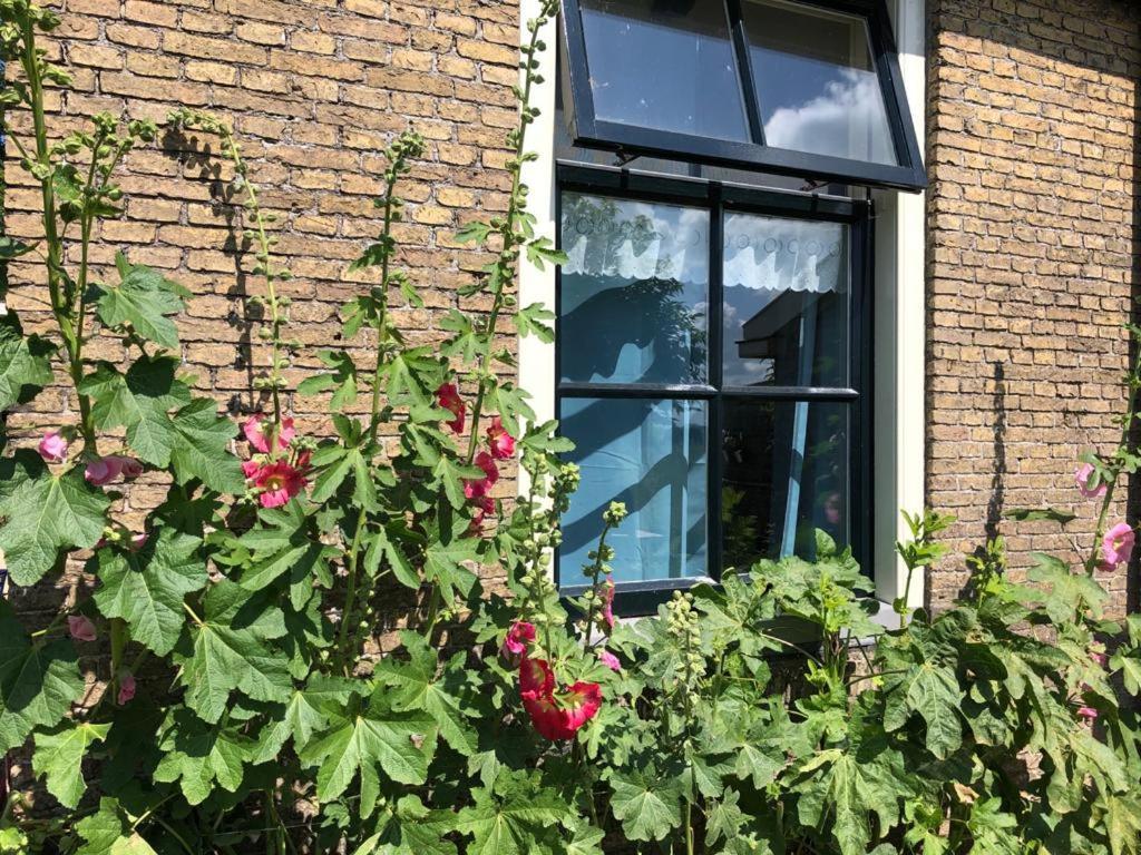 Vakantiehuis In Friesland Voor De Hele Familie Huns Exteriör bild