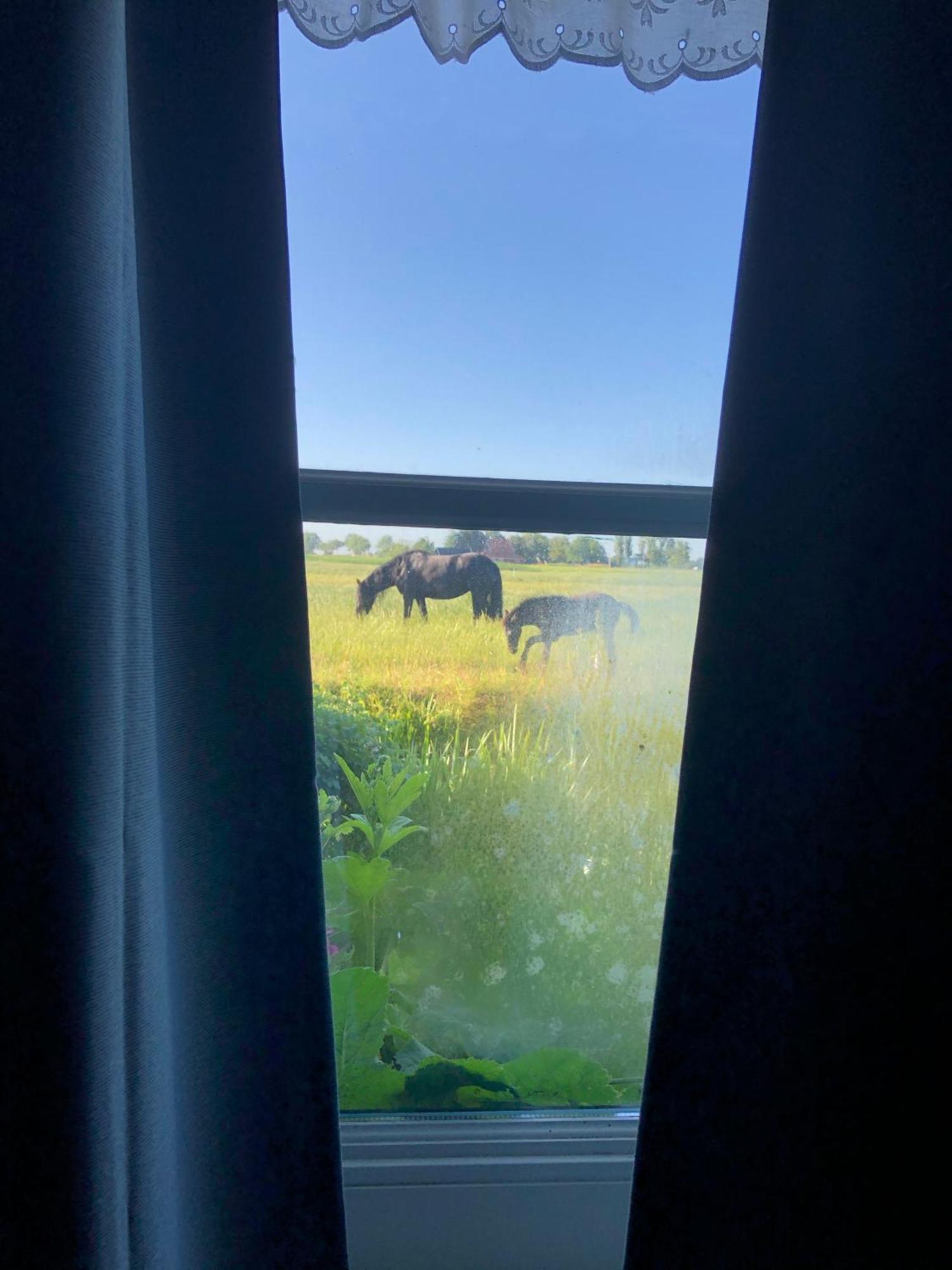Vakantiehuis In Friesland Voor De Hele Familie Huns Exteriör bild